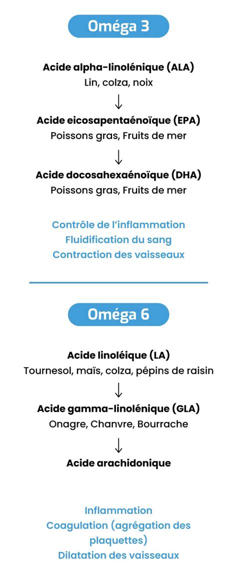 Schéma moléculaire illustrant la richesse en Oméga-6 et Oméga-9 de l'huile de noisette