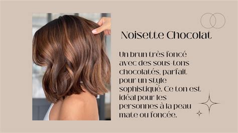 Infographie montrant les différentes méthodes d'application de l'huile de noisette sur les cheveux