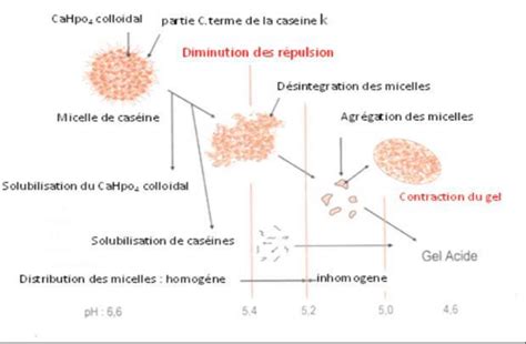 Diagramme de l'influence de l'acidité sur la structure micellaire