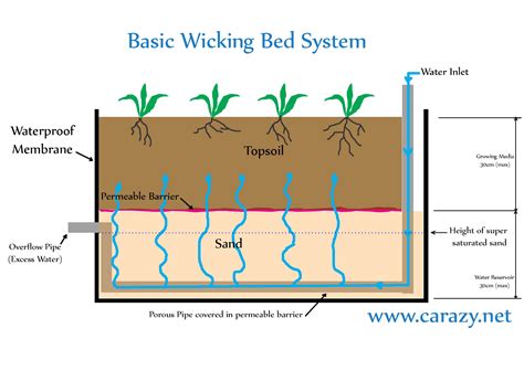 Schéma de fonctionnement d'un wicking bed