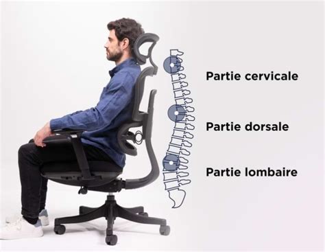 Diagramme des réglages ergonomiques du manche et de la tête de coupe
