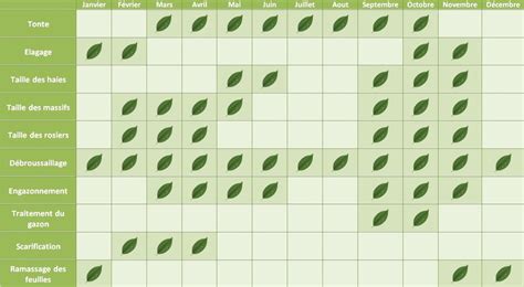 infographie sur le calendrier annuel d'entretien du citronnier
