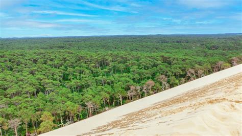 Vue panoramique des dunes et de la forêt de Groffliers