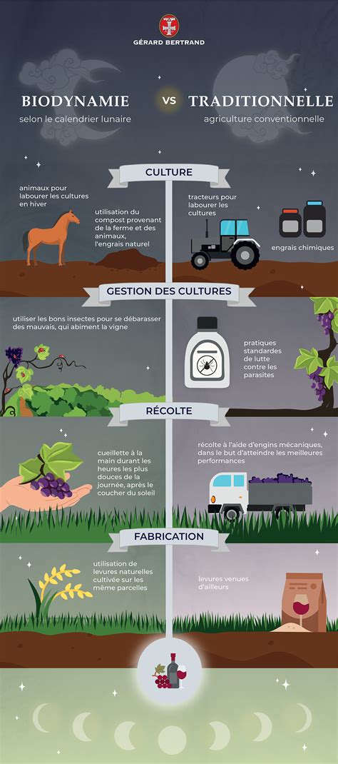 Infographie comparant l'agriculture conventionnelle et le système permacole en termes de biodiversité