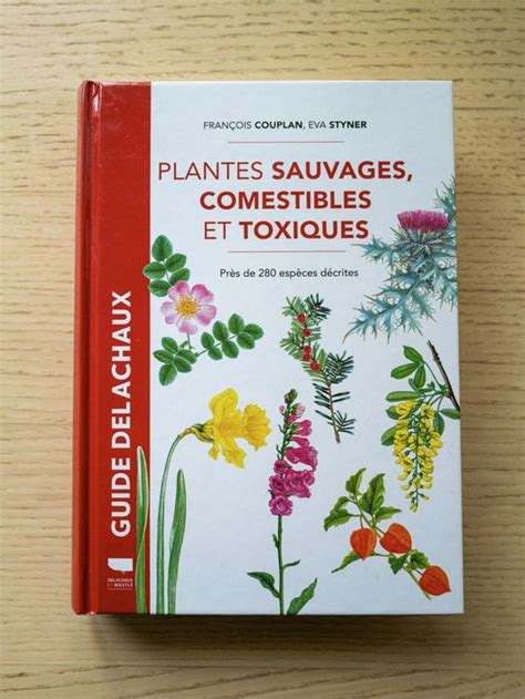 Illustration des dangers liés à la confusion entre plantes comestibles et toxiques