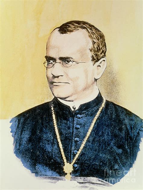 Portrait de Gregor Mendel