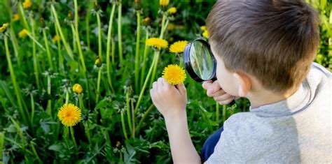 Enfant observant une fleur à la loupe dans un jardin luxuriant