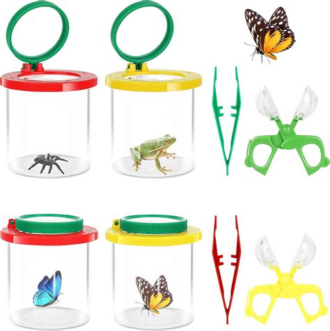 Détail d'une boîte à insectes avec loupe intégrée et contenu naturel