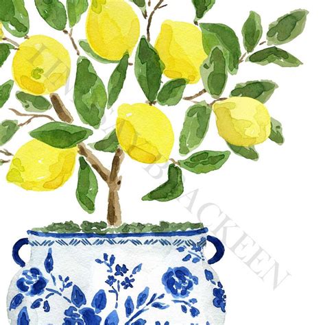 Illustration d'un citronnier en pleine fructification avec des citrons jaunes et des fleurs blanches