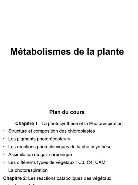 Infographie comparant le métabolisme des plantes classiques et celui des succulentes (CAM)