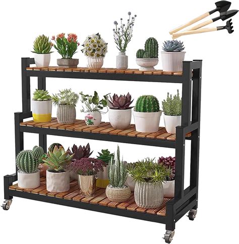 Vue d'ensemble d'une étagère décorative remplie de succulentes de formes et tailles variées
