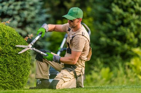 Schéma explicatif des étapes d'un entretien de jardin saisonnier