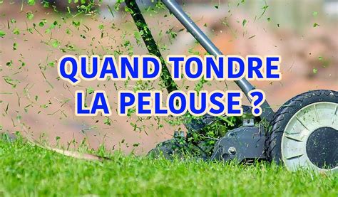 Schéma comparatif d'une pelouse tondue courte et d'une pelouse tondue haute