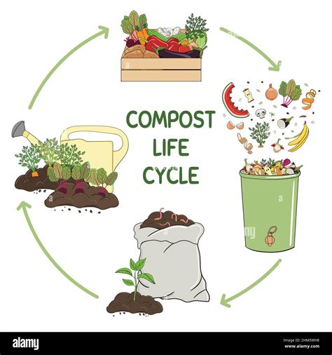 Schéma illustrant le cycle du compostage des déchets organiques