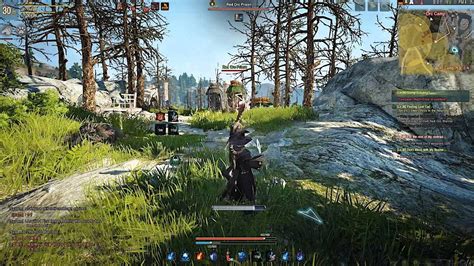 Interface de placement de clôture dans Black Desert Online