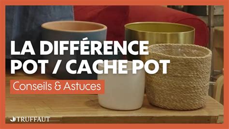 Différence entre pot et cache-pot