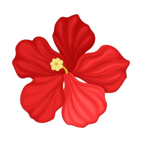 Illustration d'une variété d'hibiscus hawaïen en pleine floraison