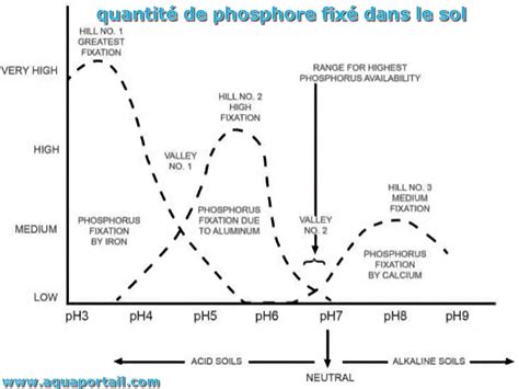 Graphique montrant la cinétique d'absorption du phosphore comparée entre un engrais classique et TOP-PHOS®