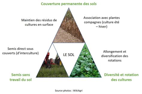 Schéma des familles de pratiques de conservation des sols