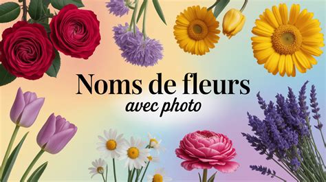 Collage de différentes variétés d'Impatiens avec leurs noms