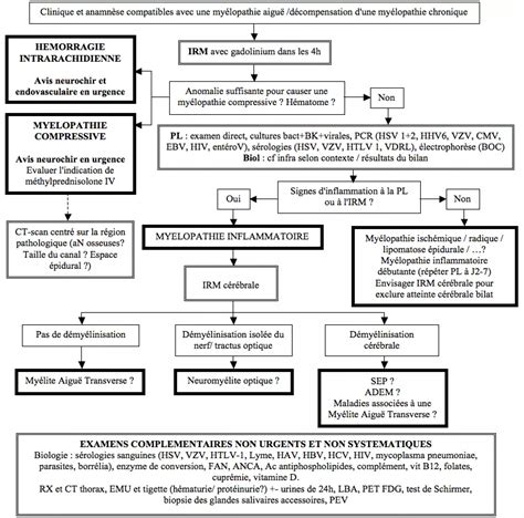 Schéma des syndromes médullaires