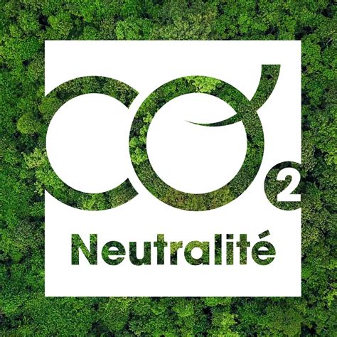 Infographie sur la neutralité carbone du chauffage au bois