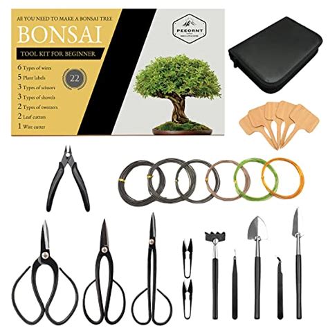Kit d'entretien pour bonsaï