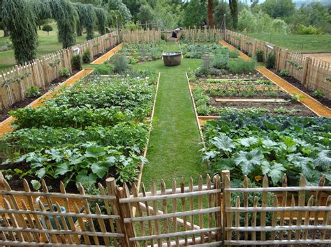 Jardin potager avec allées paillées et binées