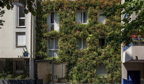 Façade végétalisée avec du lierre, offrant une isolation naturelle