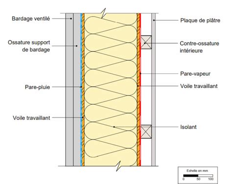 Schéma d'un figuier planté près d'un mur exposé sud