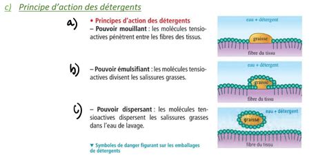 schéma illustrant l'action d'un agent mouillant sur une feuille