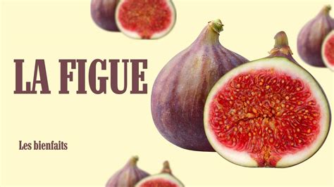 infographie sur les bienfaits de la figue