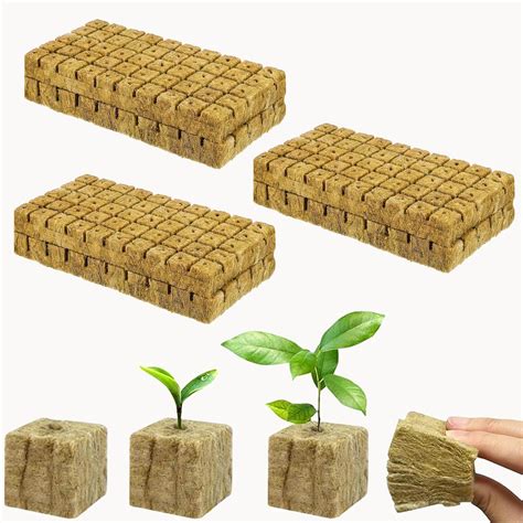 Cubes de laine de roche prêts à être semés