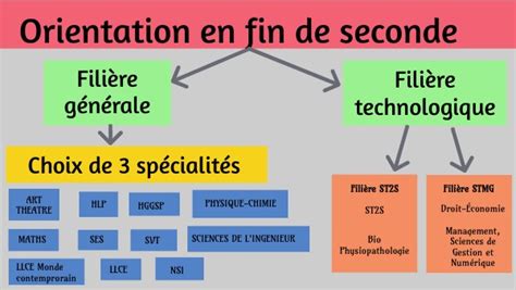Schéma de l'orientation en fin de seconde