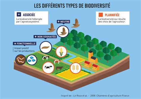 infographie sur l'évolution de la biodiversité agricole et les variétés perdues