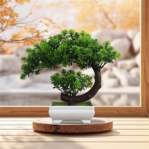 Air Bonsai sur un bureau
