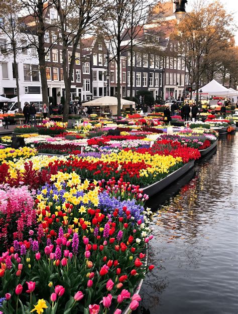 Marché aux fleurs flottant d'Amsterdam sur le canal Singel