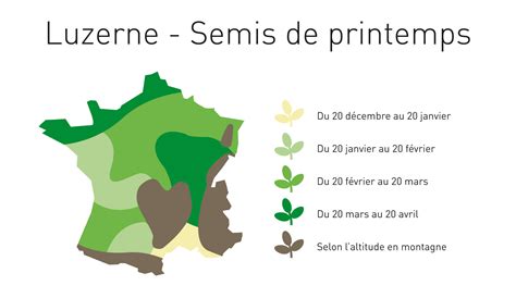 Infographie montrant les périodes idéales de semis (printemps vs automne) selon les conditions climatiques et les types de sol.
