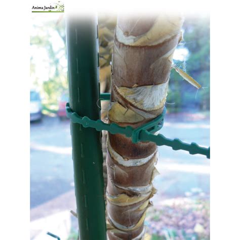 Gamme de tuteurs en acier plastifié de différentes tailles