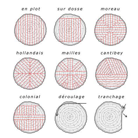 Schéma illustrant le débitage sécurisé de troncs d'arbres
