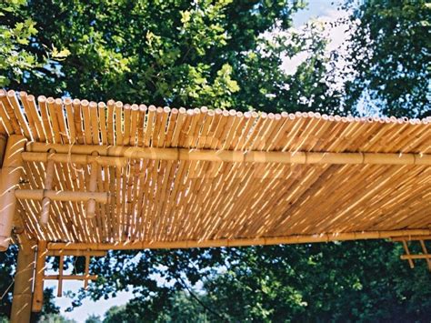 Canisses sur une pergola