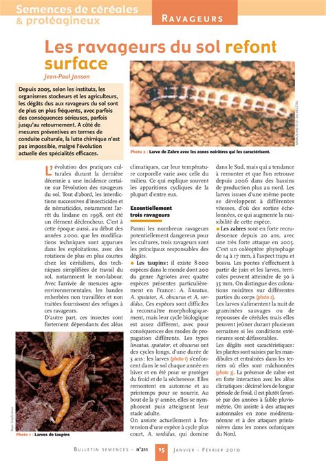 Insectes ravageurs du sol pour les courges