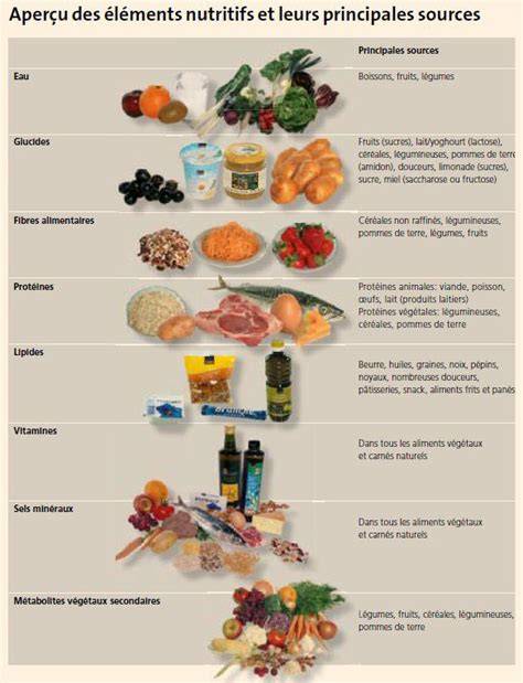 Infographie sur les principaux éléments nutritifs et leurs rôles