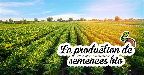 Illustration du concept de la semence dans différents contextes
