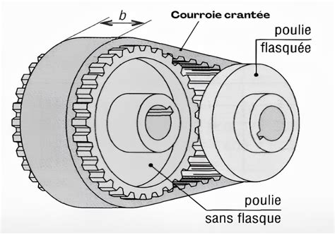 Diagramme de l'efficacité de transmission de puissance d'une courroie