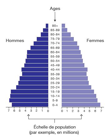 Pyramide des âges de Neuillé-le-Lierre