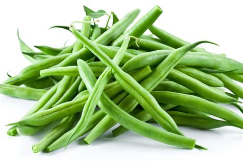 Haricots verts fraîchement récoltés