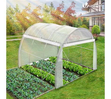 Serre de jardin avec haricots