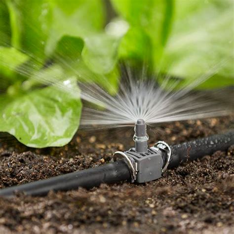 Arrosage en pluie fine