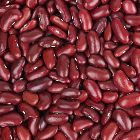 Variétés de haricots